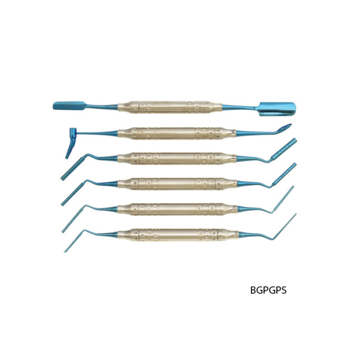 BONE GRAFT PACKER GRAFTING PLUGGER SET